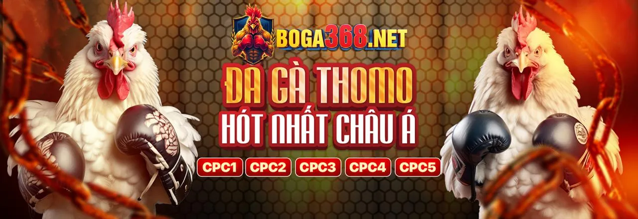 Đá Gà Trực Tuyến Hấp Dẫn tại Bong88